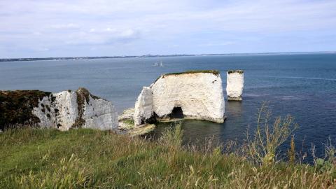 Old Harry Rocks (2025)