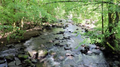 Holzbachschlucht