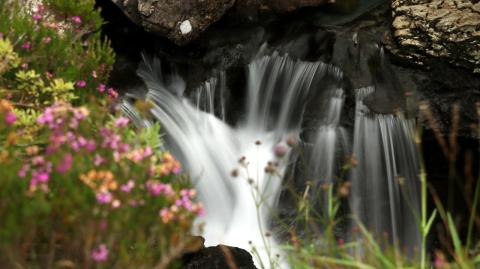 Fairy Pools (2022)