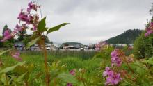 Loch Lomond und der Trossach National Park