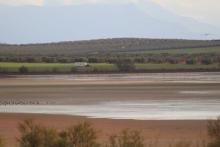 Campillos lagoons