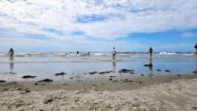 St. Peter Ording Strand (2023)