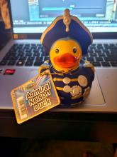 Admiral Nelson Duck