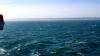 Dover (2025)