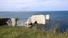 Old Harry Rocks (2025)