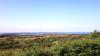 Old Harry Rocks (2025)