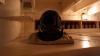 HMS Warrior (2025)