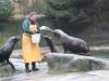 Hagenbeck (2007)