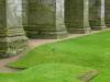 Hollyrood Abbey (2012)