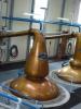 Glenfiddich Distillery