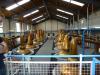 Glenfiddich Distillery