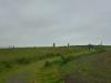 Ring of Brodgar