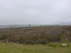 Ring of Brodgar