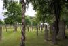 Glasnevin Cemetery (2014)