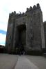 Bunratty Castle (2014)