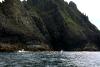 Skellig Rocks (2014)
