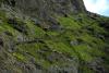 Skellig Rocks (2014)