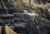 Skellig Rocks (2014)