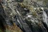 Skellig Rocks (2014)