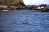 Skellig Rocks (2014)
