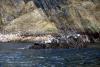 Skellig Rocks (2014)