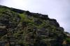 Skellig Rocks (2014)