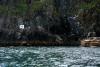 Skellig Rocks (2014)