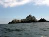 Skellig Rocks (2014)