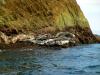 Skellig Rocks (2014)