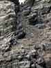 Skellig Rocks (2014)