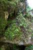 Powerscourt Gardens (2014)