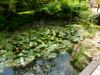 Powerscourt Gardens (2014)