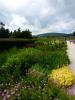 Powerscourt Gardens (2014)