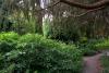 Mount Usher Gardens (2014)