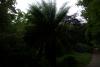 Mount Usher Gardens (2014)