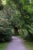 Mount Usher Gardens (2014)