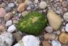 Mumbles Strand und Leuchtturm