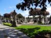 Glasnevin Cemetery (2018)