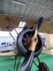 MRDA - Sopwith F1 Camel