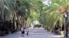 Jardín Botánico-Histórico La Concepción 