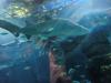 Barcelona Aquarium