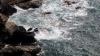 Lizard Point (2025)