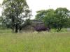 Culloden Battlefield (2012) (2012)