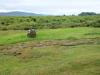 Culloden Battlefield (2012)