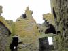 Dunnottar Castle (2012)