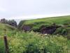 Dunnottar Castle (2012)