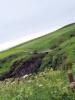 Dunnottar Castle (2012)