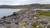 Scourie Headlands (2016)