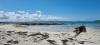 Eriskay Beach