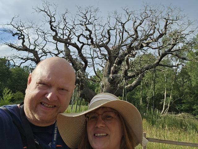 Major Oak